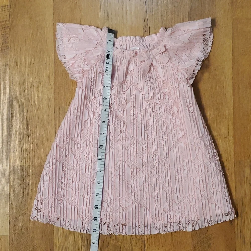 Just One You Carter's‎ Girls Pink Pleated Lace Dress Size 12M